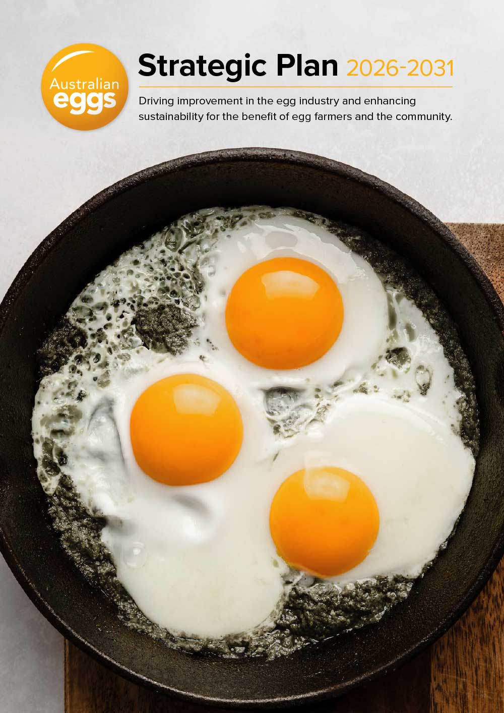 EGG_108273_5-YR-STRATEGIC-PLAN_02-1